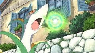 Serperior  How to Use  Pokémon Strategy Guide  Serperior Moveset [upl. by Blim]