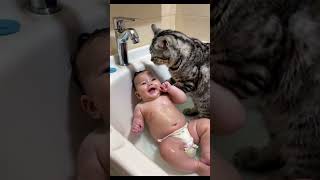 CAT Baths Baby Adorable Home Video Purrfect Bath  Cat and Baby Unlikely Bath Time  Cat and Baby [upl. by Yenrab877]