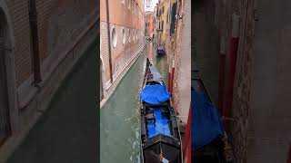 Il ponte di Venezia più bello venezia campanile sanmarco bell italy italia [upl. by Killie752]