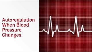 Autoregulation when Blood Pressure Changes [upl. by Gilus544]