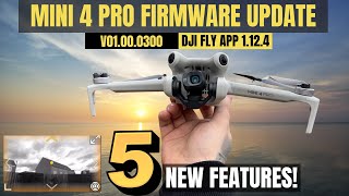 HUGE DJI Mini 4 Pro Firmware update  Fly App 1124 Review [upl. by Nonregla]