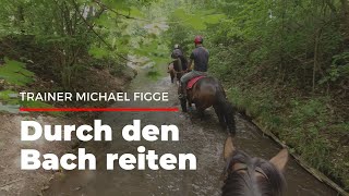 Mit dem Rennpferd durch den Bach reiten [upl. by Godric]