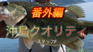 【番外編】琵琶湖沖島編 コードネームバスダウズスイマー400デプスジャッカル [upl. by Akins953]