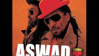 Aswad  Roots Rockin 2 2009 [upl. by Anekam]