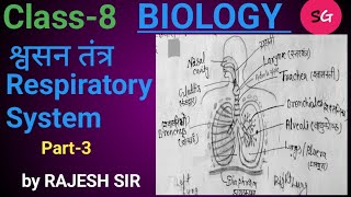 जीव विज्ञान BIOLOGYCH8 श्वसन तंत्र RESPIRATORY SYSTEMPART3 SSC RLY BSSC BPSC by Rajesh sir [upl. by Maurizio96]