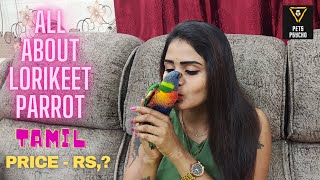 ALL ABOUT LORIKEET PARROT PETSPSYCHO TAMIL [upl. by Latia]