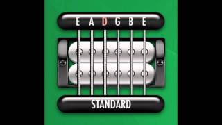 Perfect Guitar Tuner E Standard  E A D G B E [upl. by Inimod]