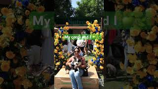 My corgi and I have been fun at the first dog farmers market 🍏🍃 nutropetsfood corgisofyoutube [upl. by Eelrefinnej]