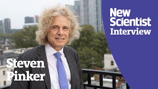 Steven Pinker Why humans arent as irrational as they seem [upl. by Quinlan426]