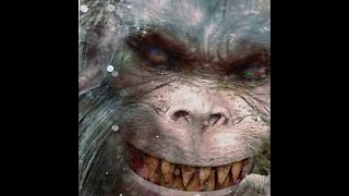 World Bigfoot Radio 157  DUKEs encounters Dogman Giants Genoskwa amp GUGWE REVEALED [upl. by Lednem]