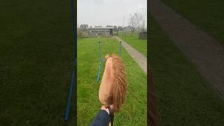 Pov playing a horse game with mokka 🐴🤎 hobbyhorses hobbyhorsing hobbyhorse [upl. by Leiria448]