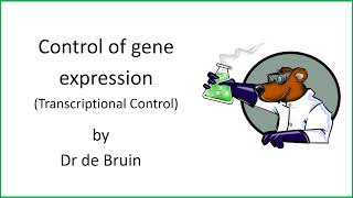 611 Chapter 19  Control of gene expression  Transcriptional control [upl. by Chelsey]