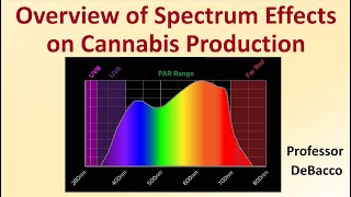 Overview of Spectrum Effects on Cannabis Production [upl. by Annet50]