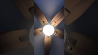 My ceiling fan make noise when it stop  lights ceiling fan  short video [upl. by Gitel]