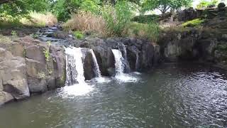 Liliuokalani Botanical Garden [upl. by Ahsonek]