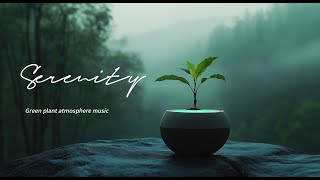 Discover the Easy Way to Inner Calm with Soul Music [upl. by Ennovad]