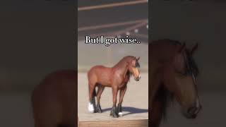 Flash warning ❗️ horse strideway steadyhorse roblox horseenthusiast starequestrian horsefan [upl. by Inahc931]