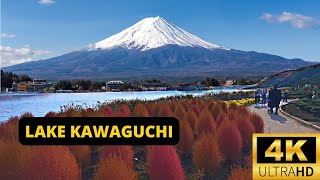 LAKE KAWAGUCHI JAPAN 🇯🇵 4K Oishi Park — The most picturesque location to see Mt Fuji [upl. by Anelle]