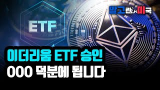 이더리움 ETF 승인 OOO 덕분에 될 것 같습니다 리플 ETF 전망은 알고뉴스 [upl. by Nilrah]