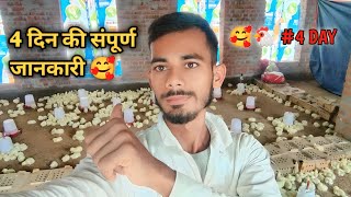 first vlog video in polti from 🥰 polti murgi farm business 😱 ॥ polti from ॥ polti murgi farm [upl. by Henryk323]