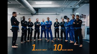 1 Black Belt vs 10 Blue Belts [upl. by Akinwahs]