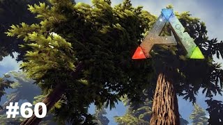 ARK Survival Evolved  Redwood Biom  Gameplay Deutsch 60 [upl. by Nnaeoj]