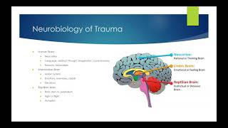 Trauma amp the Body How Trauma Manifests in the Body and Informs Approaches to Healing [upl. by Aloke]