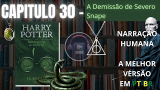 Harry Potter e as Relíquias da Morte ⚡ CAPITULO 30 Audiolivro em PTBR [upl. by Imeka]