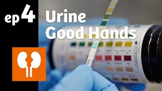 Ep 4 Urine it’s like a clinical compass [upl. by Maryanne611]