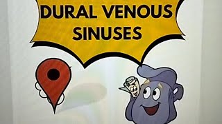 Dural Venous Sinuses made easy [upl. by Hibben208]