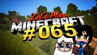 Lets Play Minecraft 065 Deutsch full HD  In die falsche Richtung [upl. by Irved]