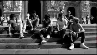 One Direction  More Than This Official Video [upl. by Rellek97]