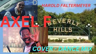 AXEL F  HAROLD FALTERMEYER COVER  DANCE MIX [upl. by Lachish726]