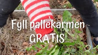 Fyll opp pallekarmen gratis [upl. by Sutherland]