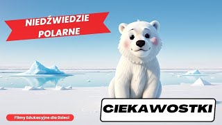 Niedźwiedzie Polarne Ciekawostki Film dla dzieci ciekawostki filmydladzieci [upl. by Isia]