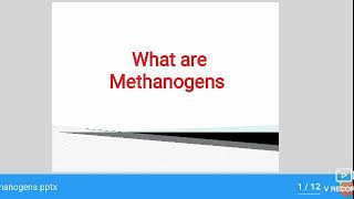 What are methanogens [upl. by Auof]