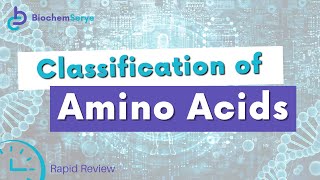 Classification of Amino Acids Rapid Review  Biochemistry [upl. by Weiman]