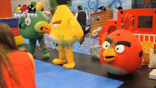 Angry Birds [upl. by Coppins]