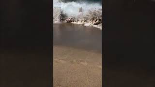 Woman Swept by Hawaii’s Towering Waves [upl. by Simona]