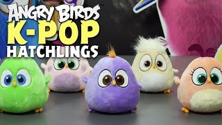 Angry Birds  Hatchlings Kpop [upl. by Holms454]