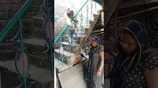 Amara niche utar jao comedy funny fun shortvideo 😲😜🤪🤪🤪🤣🤣🤣🤣🤣🤣😆 [upl. by Ellennahc456]