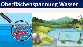 Oberflächenspannung von Wasser Biologie  Chemie Mittelstufe [upl. by Ydner371]