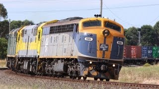 Another 50 Trains Compilation  Australian Trains Victoria [upl. by Ained]