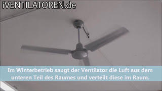 Deckenventilator Westinghouse INDUSTRIAL [upl. by Tayib]