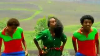 Ethiopian Music  ያሬድ መስፍን ለዛና ፈገግታሽ [upl. by Ayanaj]