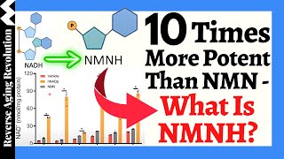 10 TIMES MORE POTENT Than NMN  What Is NMNH [upl. by Edin25]