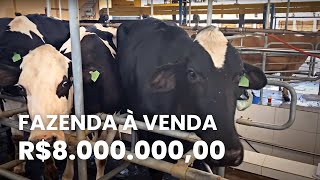 Fazenda Leiteira de 116 hectares à Venda de Porteira Fechada em São Gonçalo do Sapucaí MG [upl. by Yup]