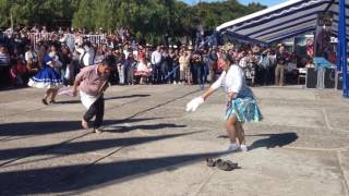 Cueca campesina en Ninhue fiesta de la vendimia [upl. by Burch]