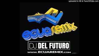 DF  Wiskisito  Proyecto Coraza  Dj Del Futuro  Intro Melody Break Steady  Transition 150116 [upl. by Illoh465]