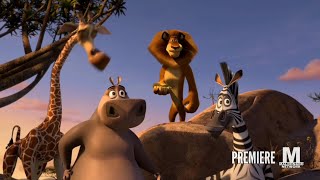 Madly Madagascar  Maldonado Network Intro  Premiere [upl. by Alidus]